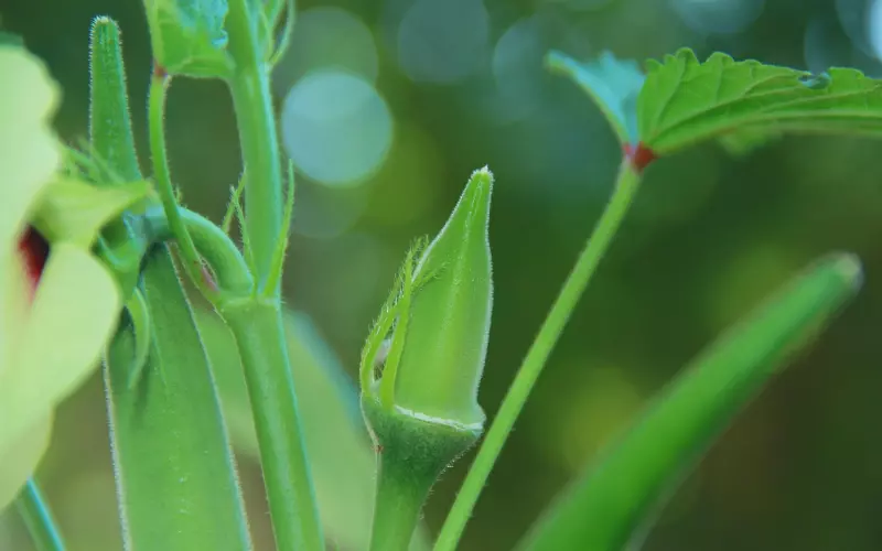 男友性格暴躁 经常吵架我要如何挽回？
