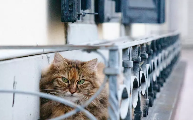 男友脾气暴躁 经常吵架闹分手