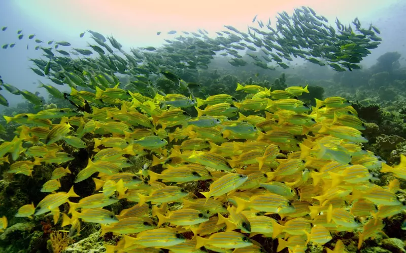 男友脾气暴躁，如何调教男朋友？