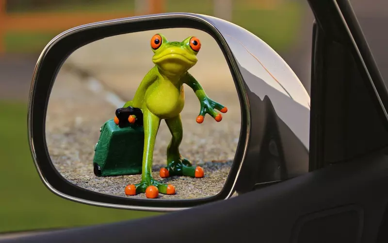 分手后男友就有了新欢，该怎么挽回