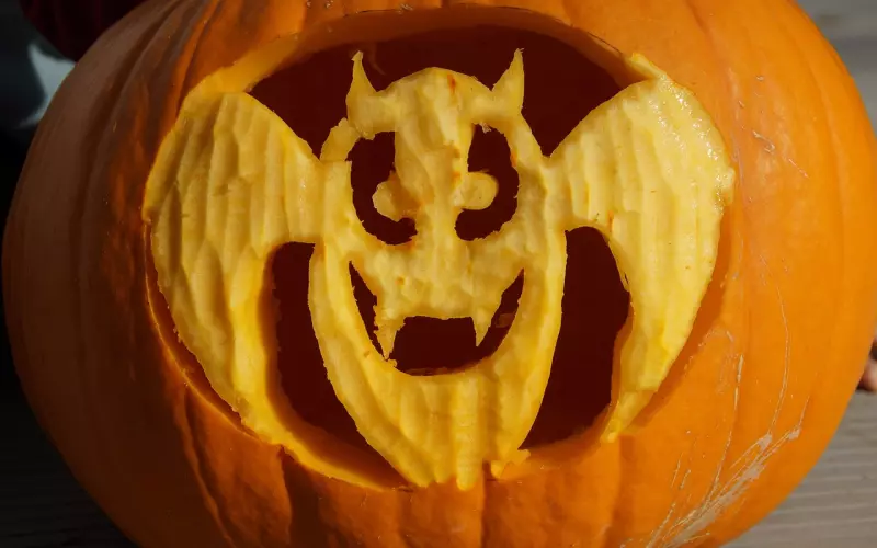 分手一个月男友就有了新欢，我还有机会和好吗