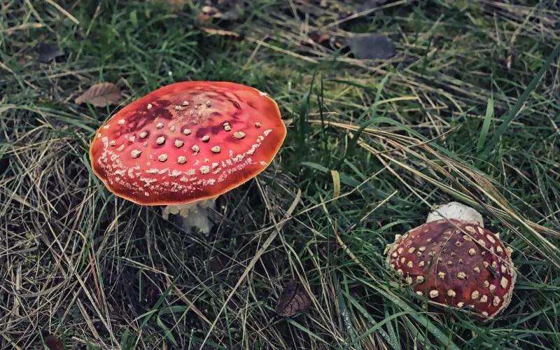 男友有新欢了还要不要挽回？挽回技巧教你如何应对！