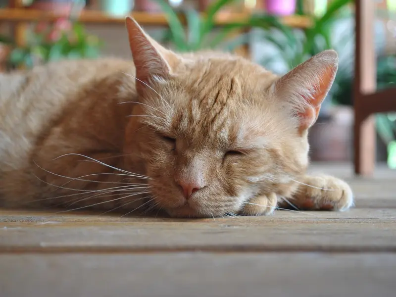 男友变心了，我还该挽回他吗？