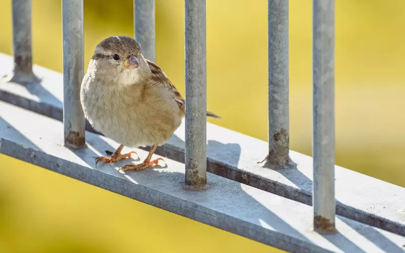 男朋友提了很多次分手，怎么真正挽回男友？