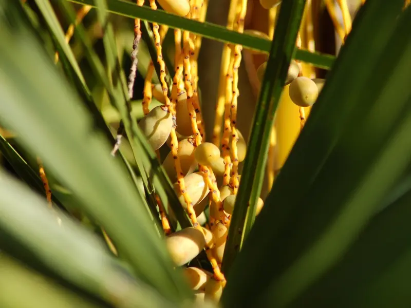男朋友有点花心，该怎么拴住男朋友的心