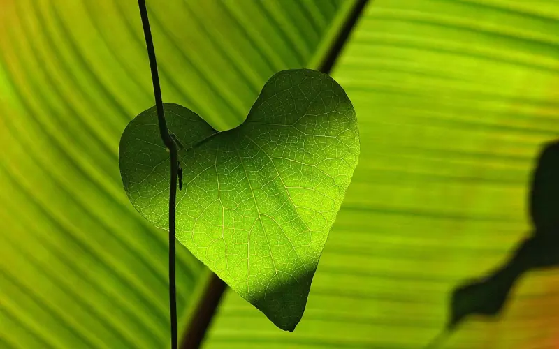 男友忙于工作不理我，该如何挽回男友的心？