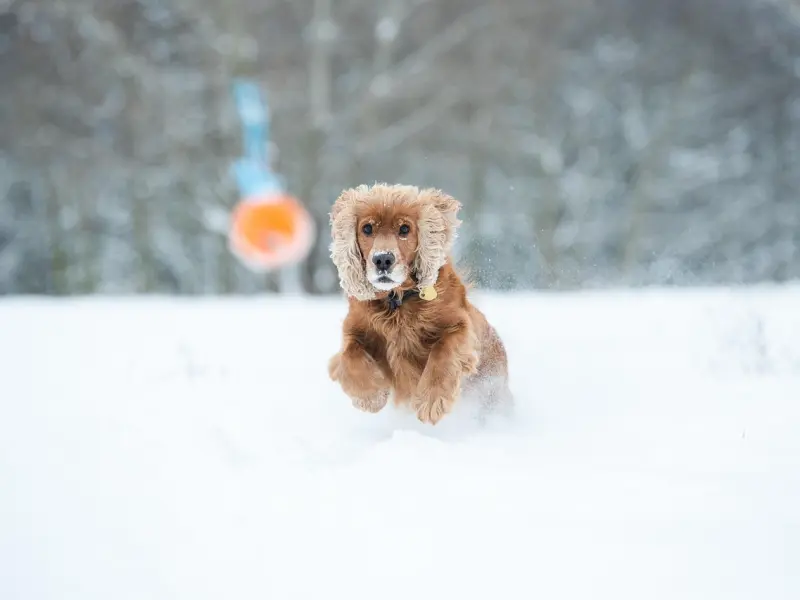 男友工作忙不理我，我屡次提分手的毛病怎么改？