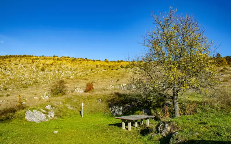 男友对我很冷淡，我该如何挽回他的心？