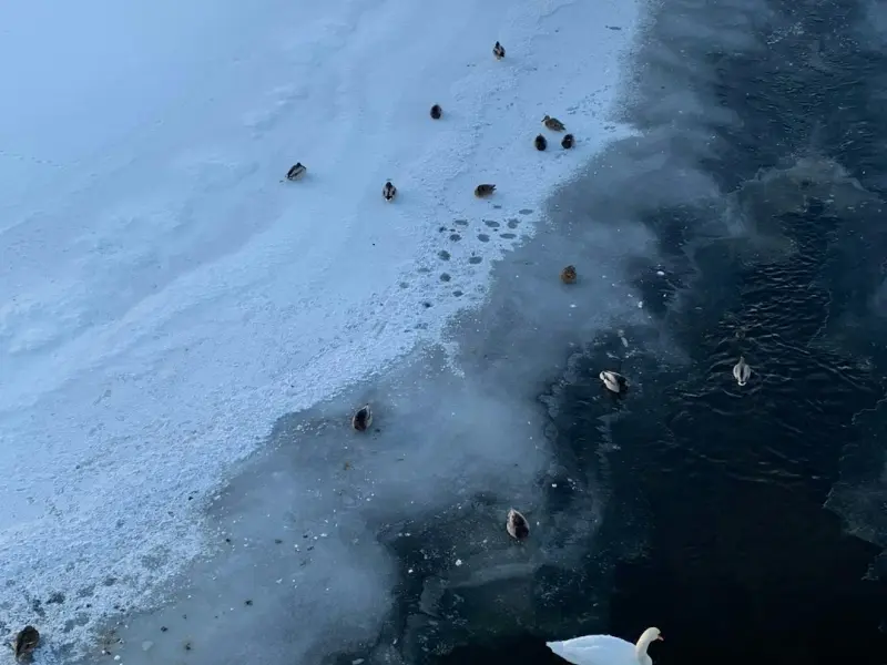 男友坚决要分手，该怎么挽回他的心