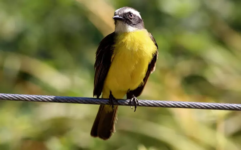 男朋友上了大学之后就要跟我分手了