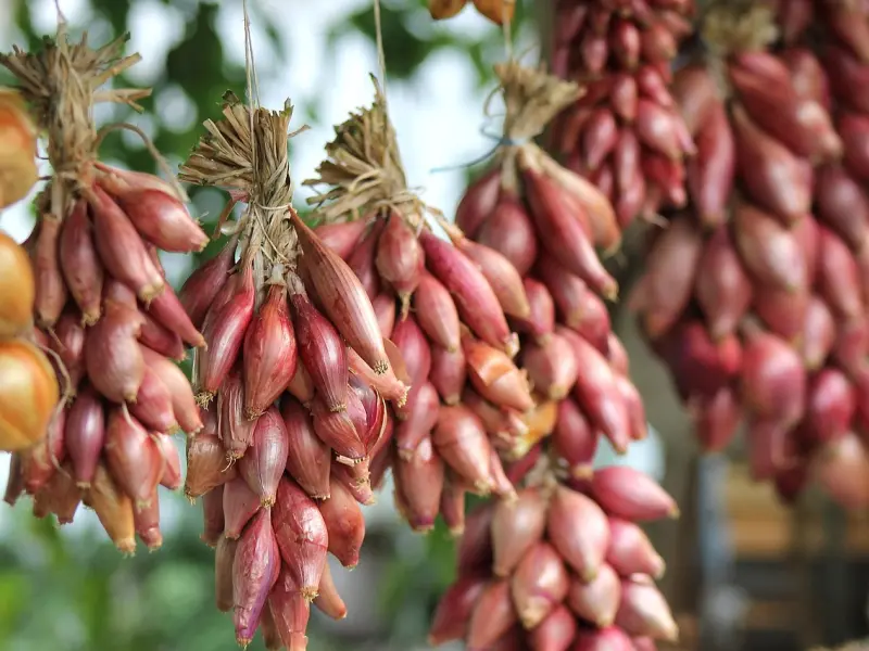 男友瞒着我跟合租女友发生关系，我该如何挽回他？