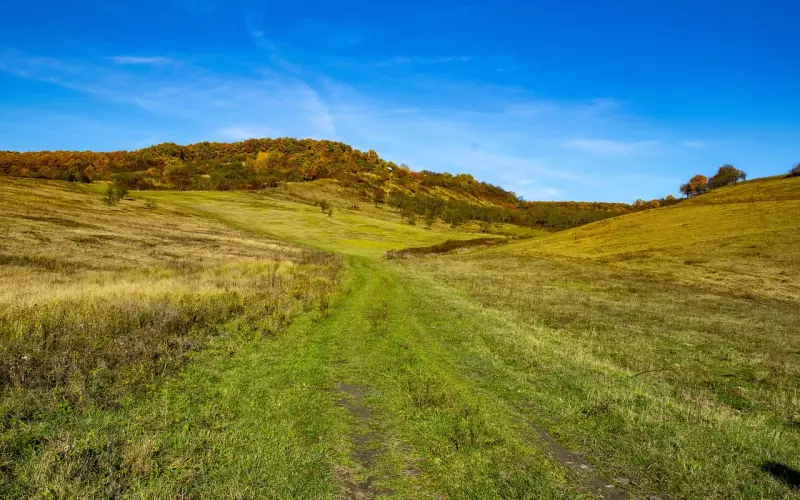 男友对我很冷淡，我该如何挽回男友的心？