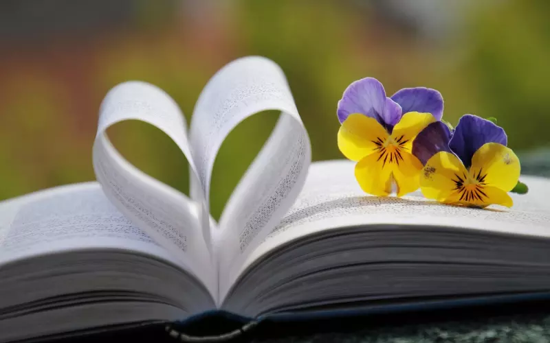 男友分手后态度很坚决，我该怎么挽回他的心