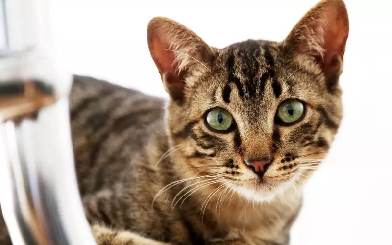 男友喜欢虐恋，应该分手还是挽回？