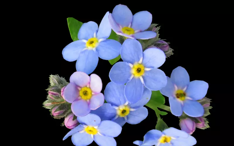 男朋友经常找我出去过夜 我该发生关系吗