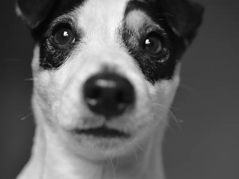 男朋友说他已经对我没感觉了要分手，我好舍不得他，我该怎么去挽回他的心