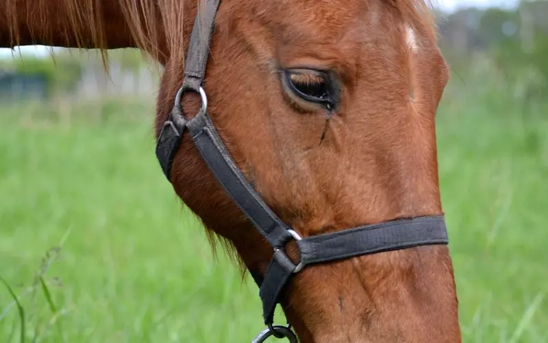 男朋友说累了想分手还能挽回吗？