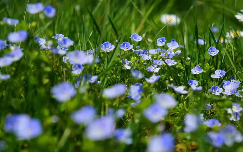 男朋友说我太任性沟通不了 现在都不回我信息