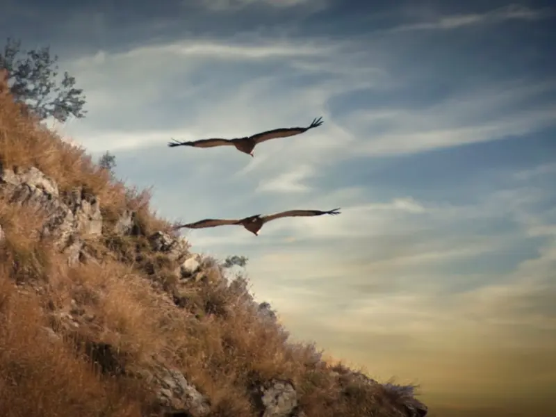 男朋友说我的暴脾气让他非常难受，所以决心和我分手，怎么样才能挽留住他