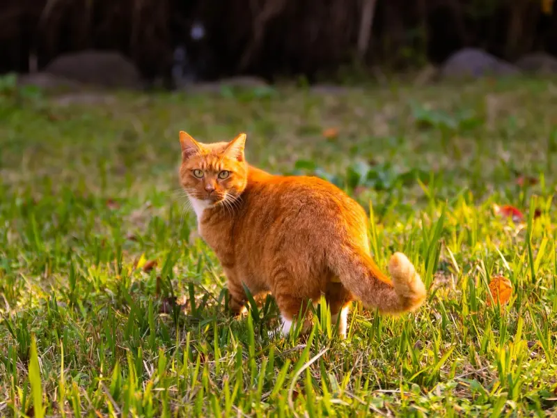 男朋友说受不了我要离开我，我该怎么做才能让他不离开我