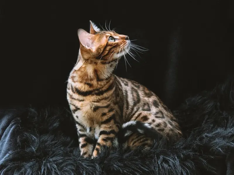 男朋友说和我在一起一点空间都没有要和我分手，我该怎么办