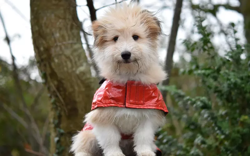 男友看起来很老实，为什么会出轨聊骚？