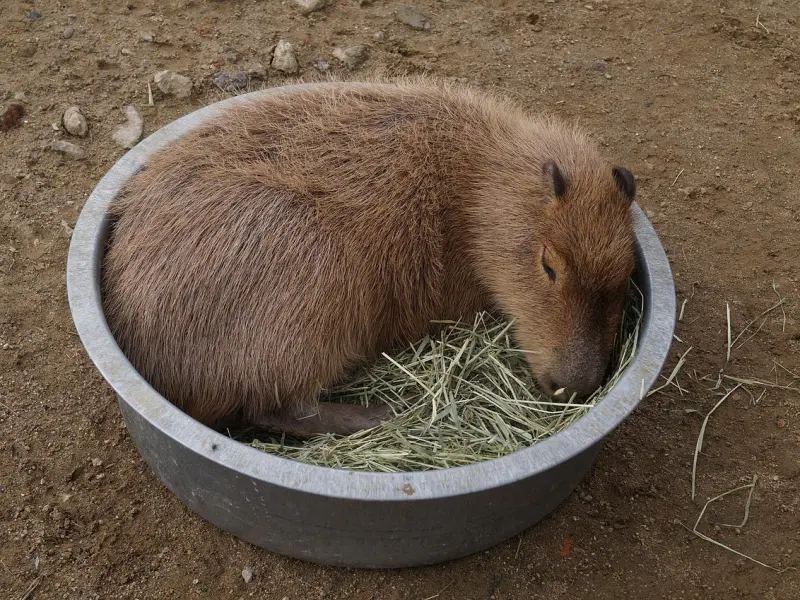 男朋友把我开玩笑的话当真，我该如何挽回他？
