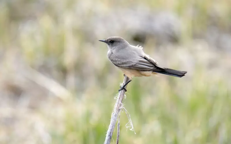 男友说的比做的好听  分手后我该跟他复合吗