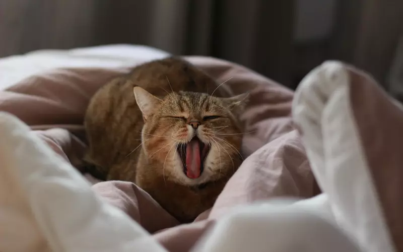 男友认为我控制欲强不适合结婚，我该如何挽回？