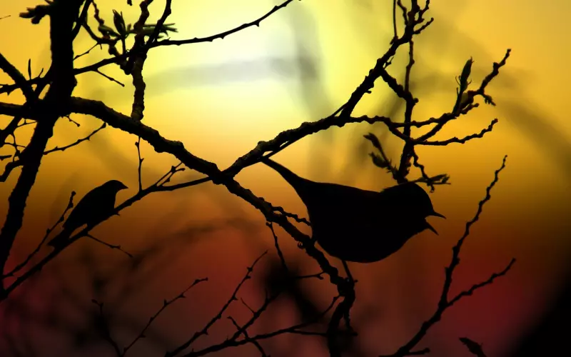 男友嫌我太作了，该怎么办