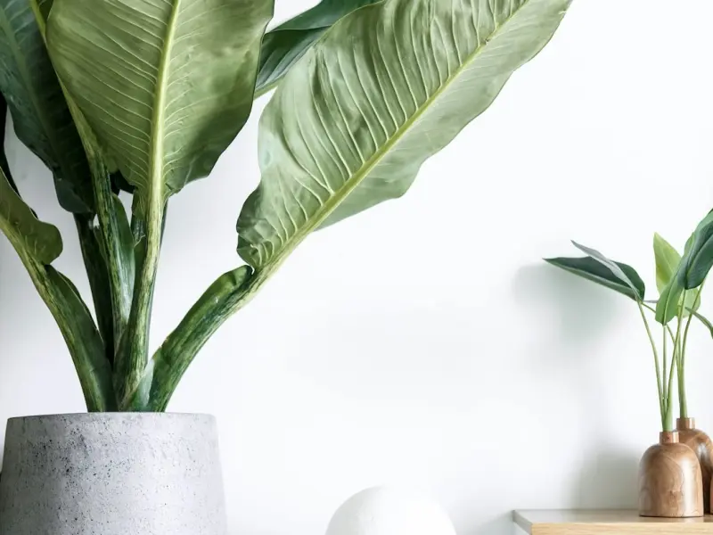 男朋友觉得我长得不漂亮要和我分手，我该怎么办