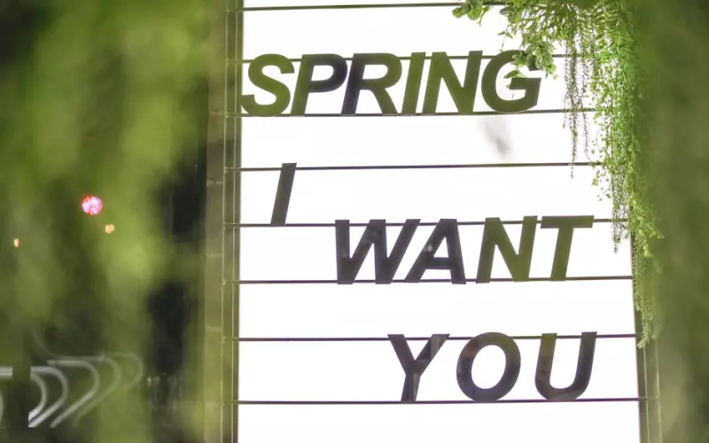 分手后男朋友求复合，可我想要单身该怎么办？