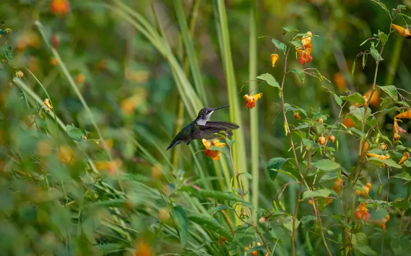 男友不让我碰他的手机 我该分手吗