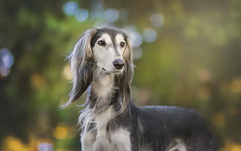 男友不带我见朋友 感觉他只是想找炮友怎么办