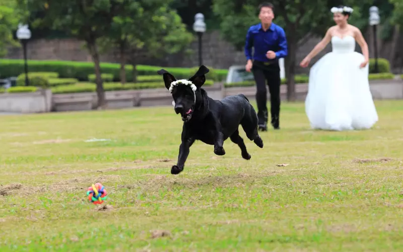 男友爸妈反对我们在一起，我该放弃还是挽回？