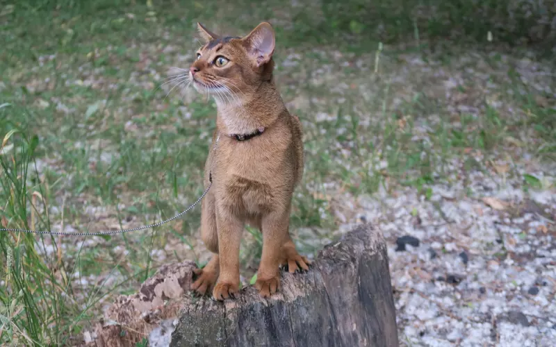 姐弟恋分手，怎么挽回年龄比我小的男友？