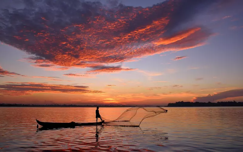 出轨的丈夫决定净身出户离婚，我该怎么办？