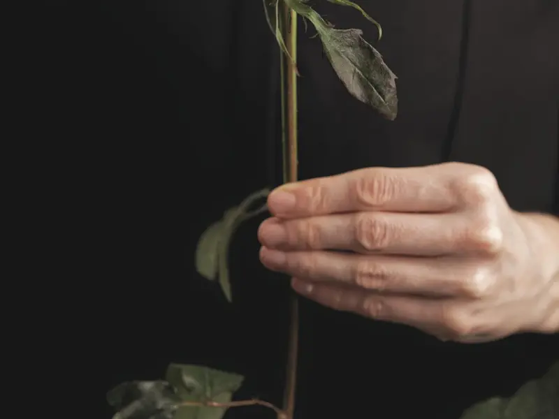 亲爱的，情人节，我要的并不是礼物，而是你的爱。
