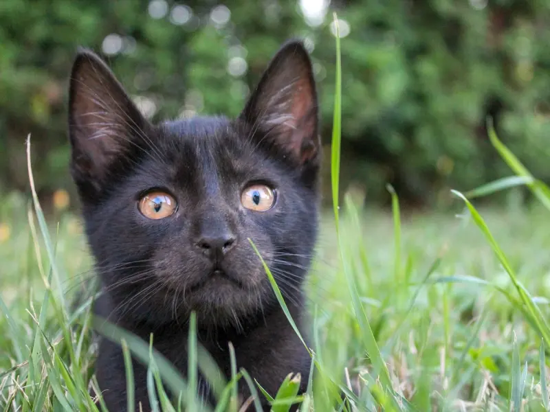 前男友有了新欢，还能挽回吗