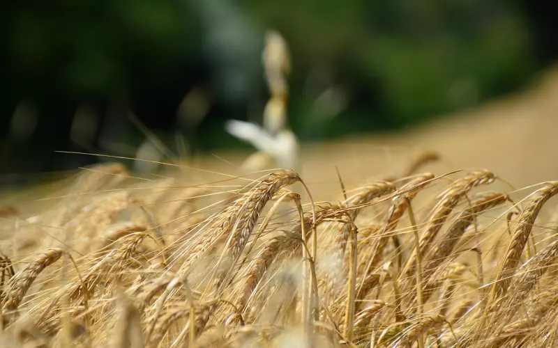 前男友现在很讨厌我，还能挽回吗？