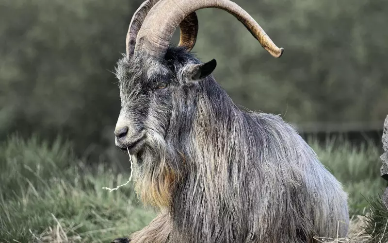 分手后前男友极度厌恶我，我该如何挽回？