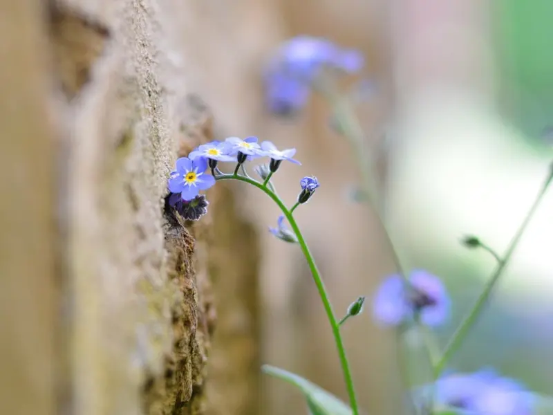 我的前男友过得不好，我想挽回他该怎么做？