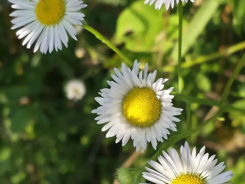 “前男友发了一条朋友圈，我才知道他还喜欢我”