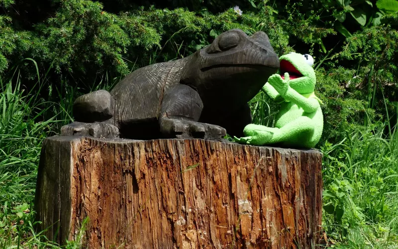 前男友说不想谈恋爱了，男生说不想谈了能挽回吗