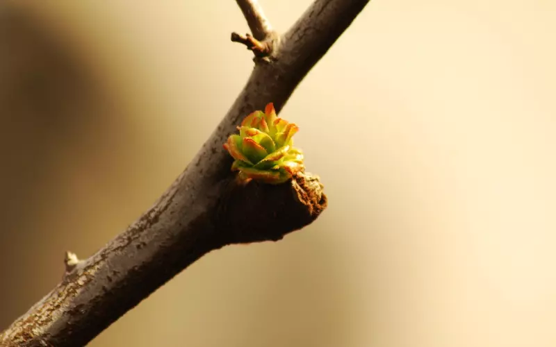 前男友疑似有新对象，这种情况该如何挽回爱情