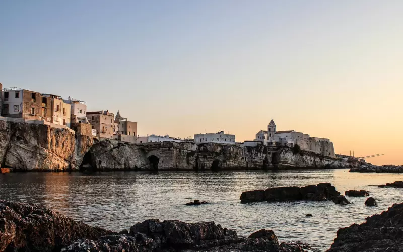 前男友主动加我的微信，学长却不让我加，为什么？