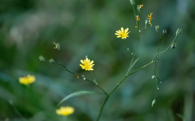 前男友找我复合但我不知道该怎么办