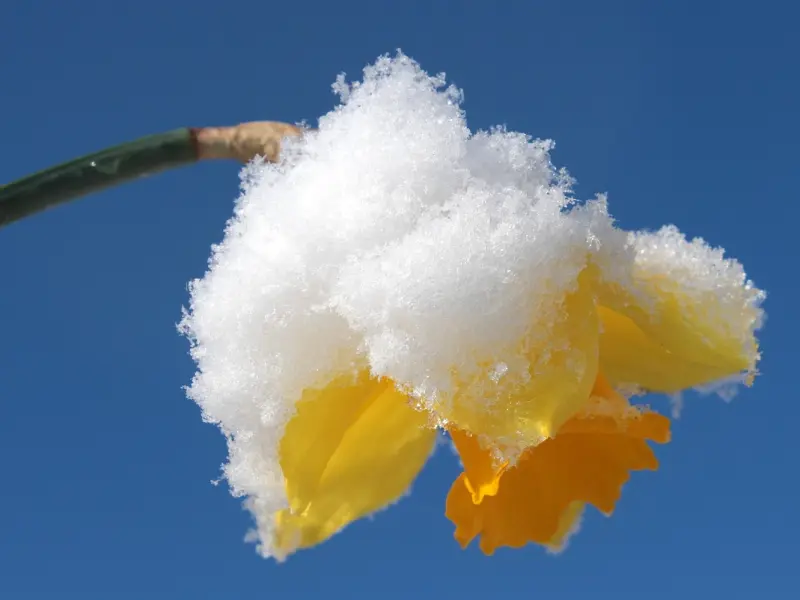 分手后前任又来撩我，他到底是怎么想的。