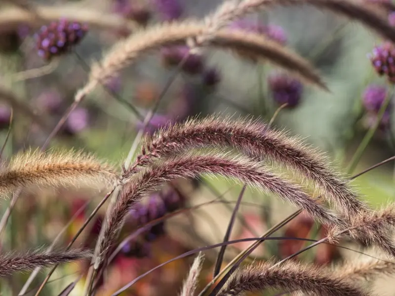 前任女友通过了我的好友申请，是不是答应复合了？
