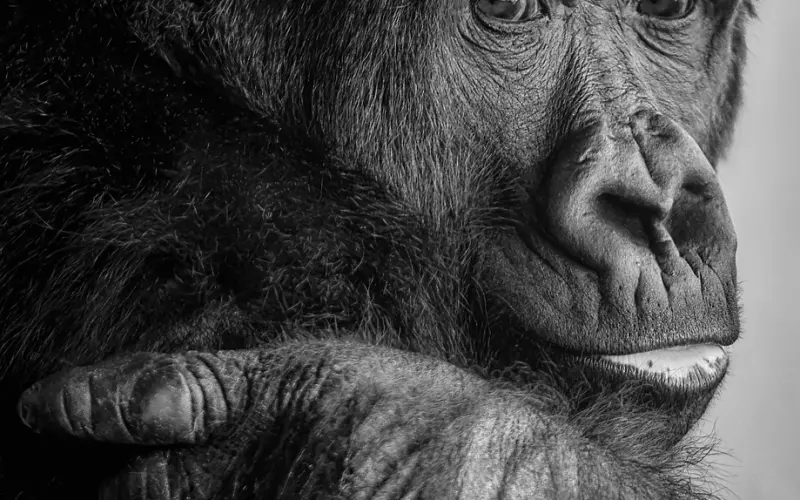 前任极度讨厌自己，我是这样挽回